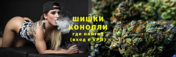 PSILOCYBIN Бородино