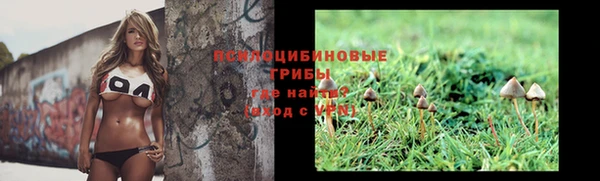 гидра Бугульма