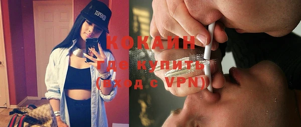 PSILOCYBIN Бородино