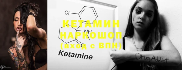 PSILOCYBIN Бородино