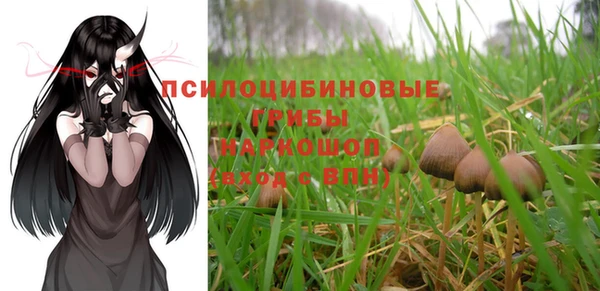гидра Бугульма
