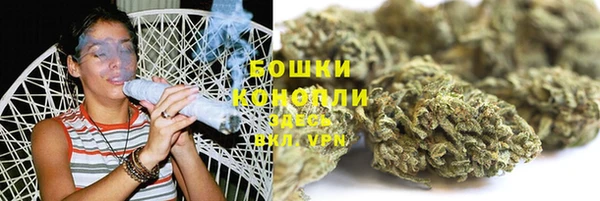 PSILOCYBIN Бородино