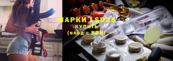 PSILOCYBIN Бородино