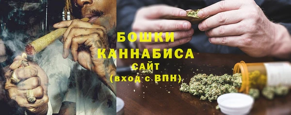 тгк Бронницы