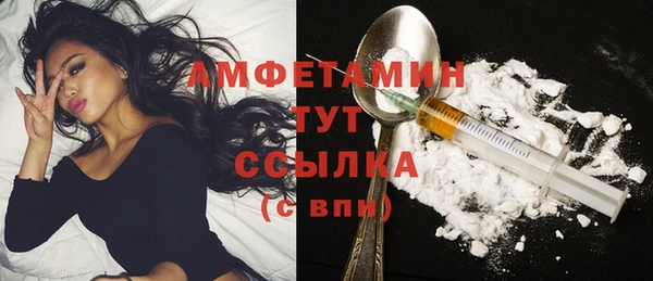 PSILOCYBIN Бородино