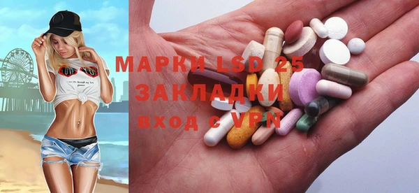 PSILOCYBIN Бородино