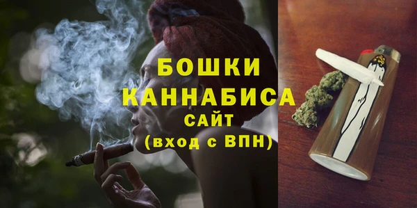 PSILOCYBIN Бородино