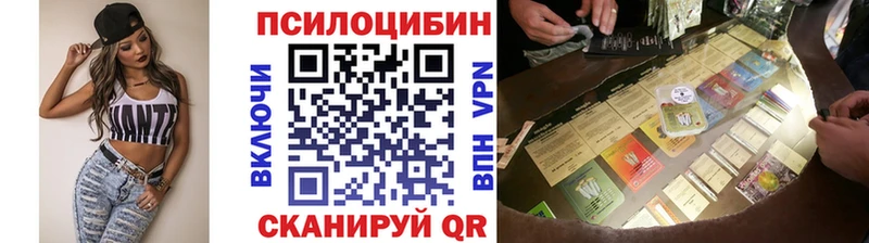 Галлюциногенные грибы Magic Shrooms  Купить  Чухлома 
